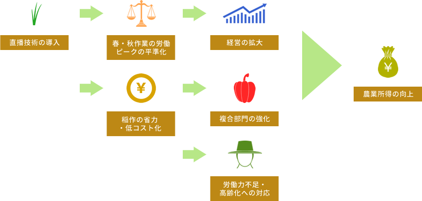 直播栽培のメリット