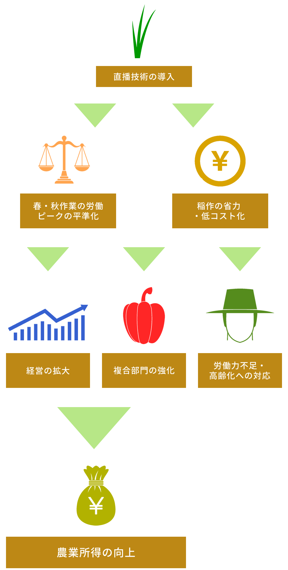 直播栽培のメリット